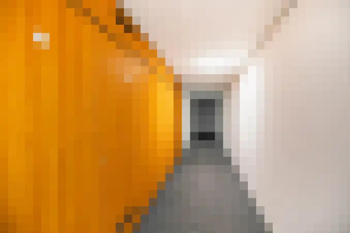 P.C. Boutenslaan 77 Rijswijk thumbnail 4
