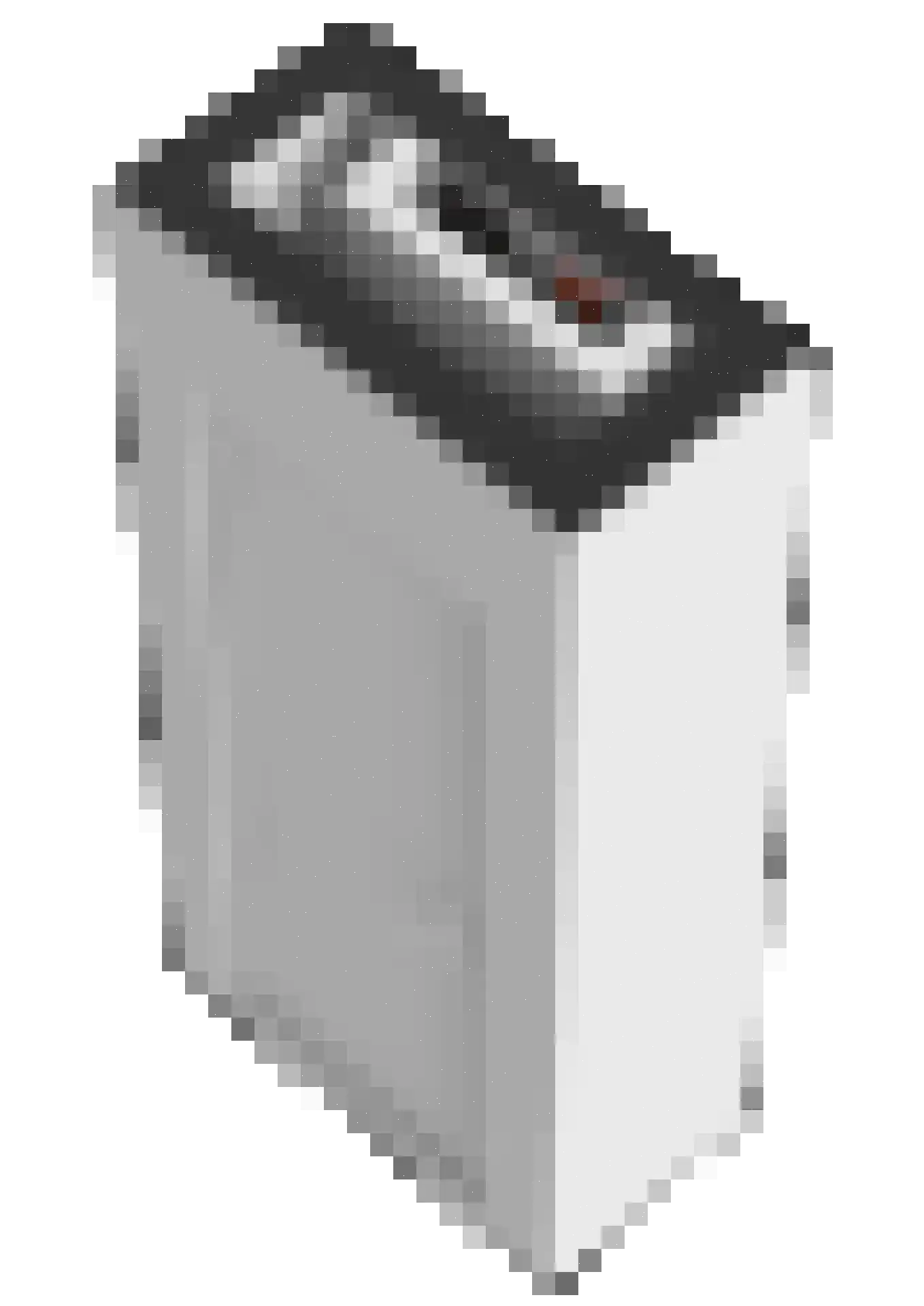 P.C. Boutenslaan 77 Rijswijk thumbnail 58