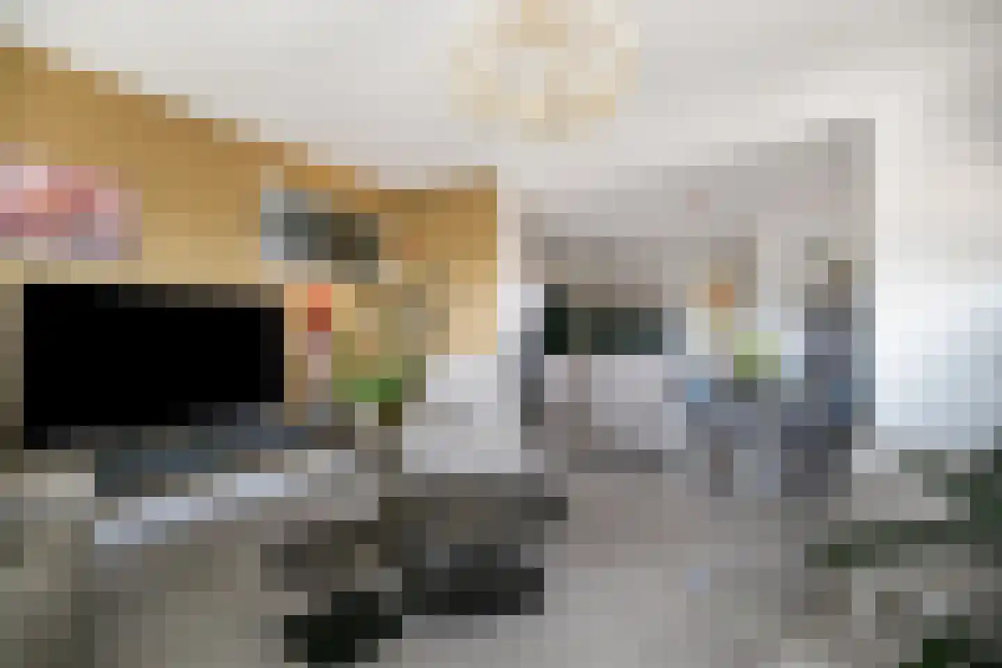 P.C. Boutenslaan 77 Rijswijk thumbnail 7