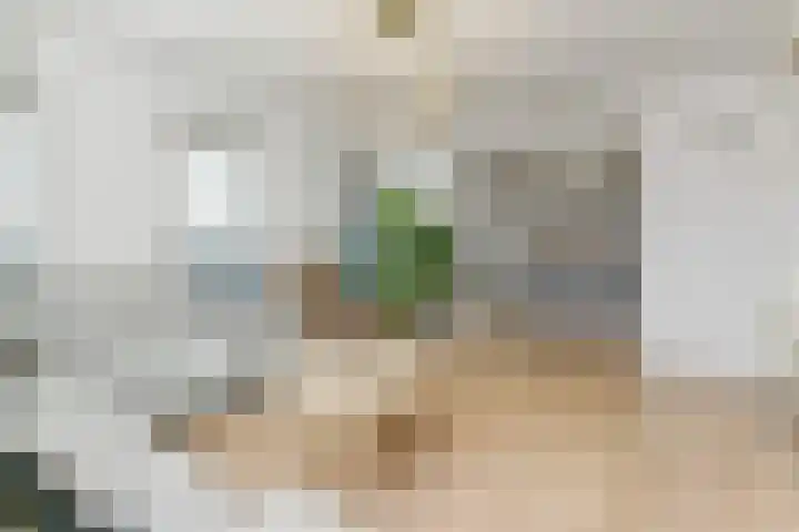 P.C. Boutenslaan 81 Rijswijk thumbnail 11