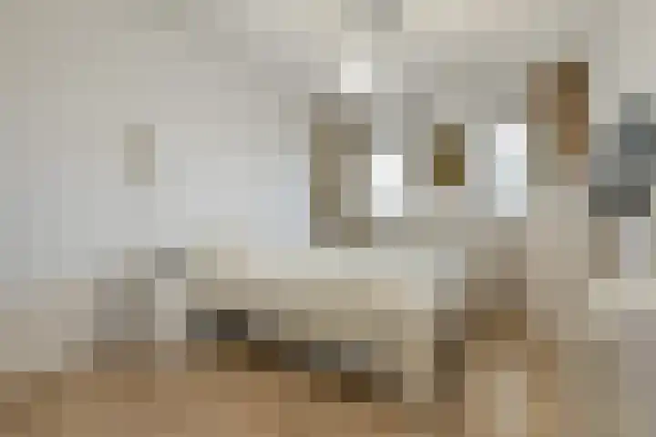 P.C. Boutenslaan 81 Rijswijk thumbnail 18