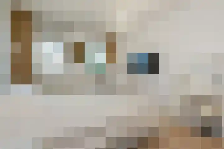 P.C. Boutenslaan 81 Rijswijk thumbnail 19