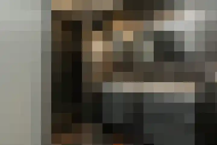 P.C. Boutenslaan 81 Rijswijk thumbnail 25