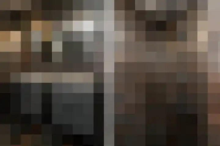 P.C. Boutenslaan 81 Rijswijk thumbnail 26