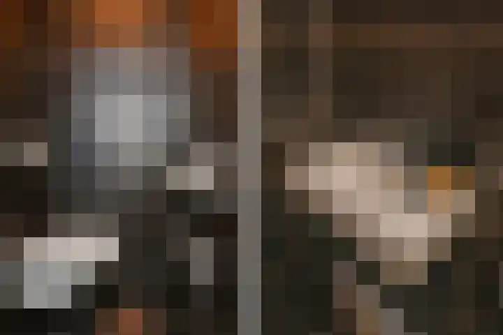 P.C. Boutenslaan 81 Rijswijk thumbnail 27