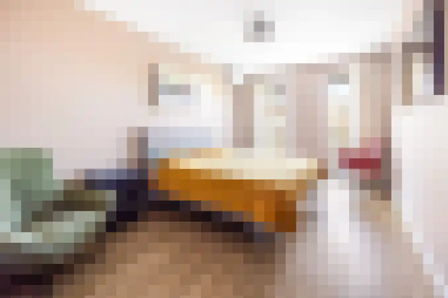 P.C. Boutenslaan 83 Rijswijk thumbnail 20
