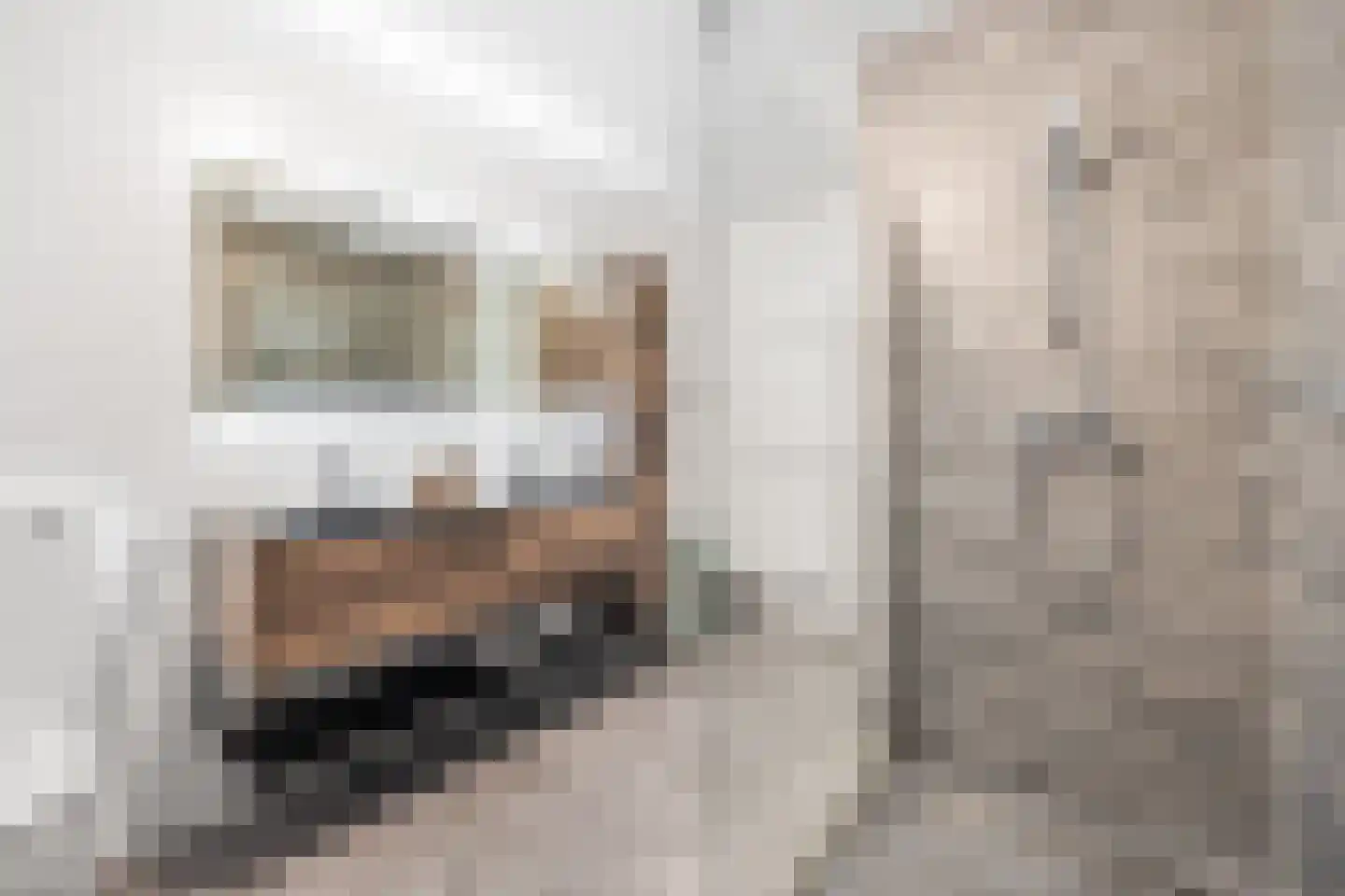 P.C. Boutenslaan 83 Rijswijk thumbnail 25
