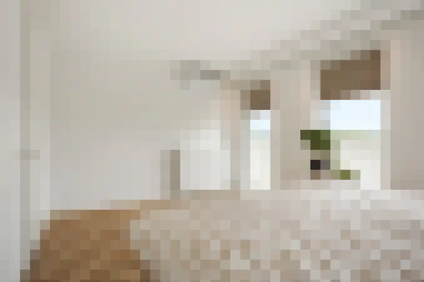 P.C. Boutenslaan 87 Rijswijk thumbnail 24