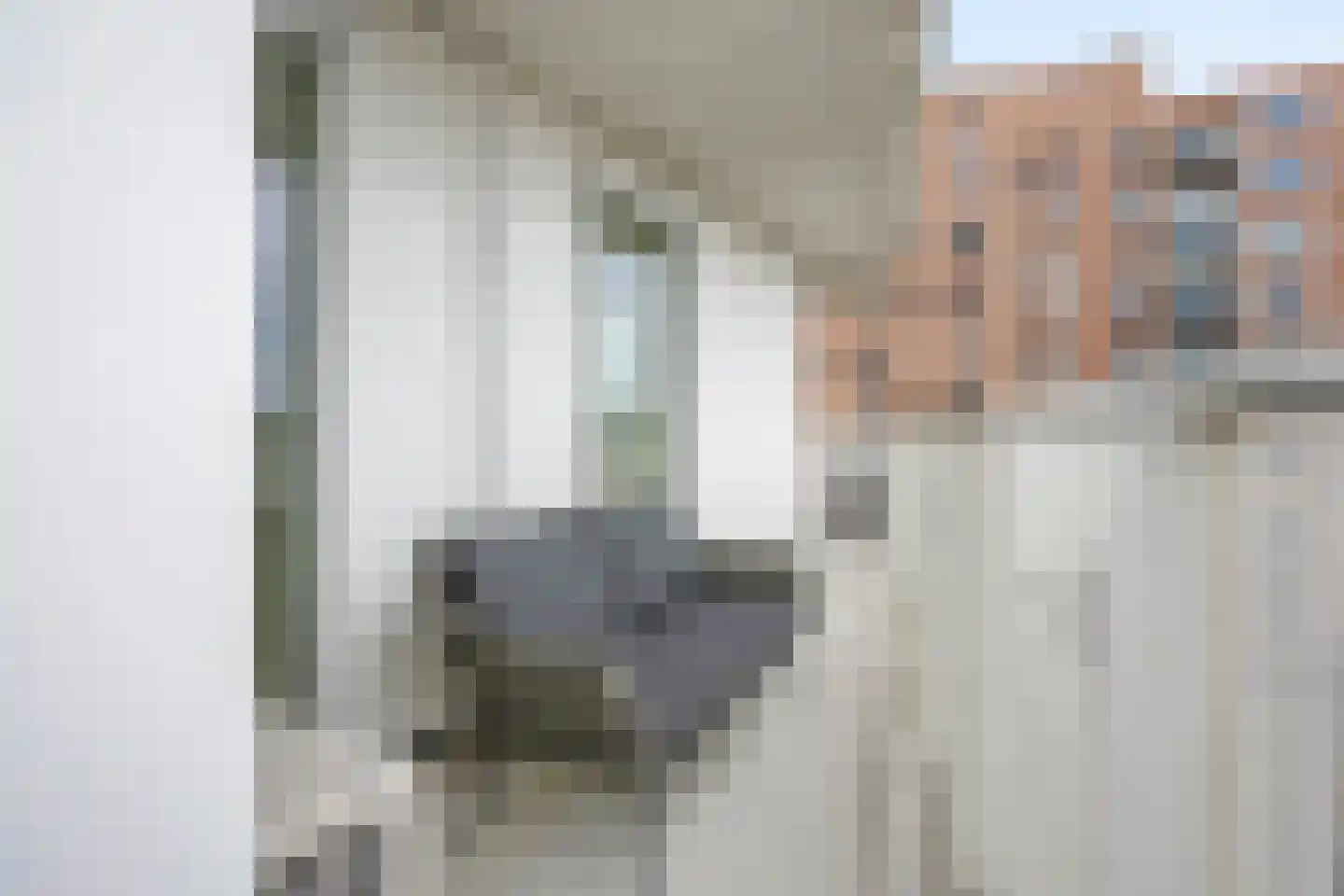 P.C. Boutenslaan 87 Rijswijk thumbnail 36