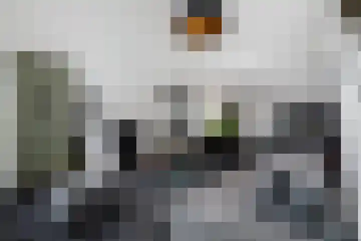P C Boutenssingel 107 Capelle aan den IJssel thumbnail 10