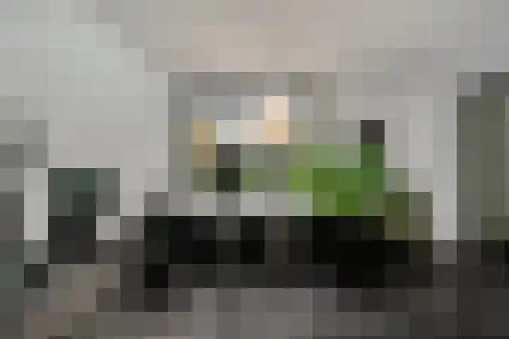 P C Boutenssingel 107 Capelle aan den IJssel thumbnail 13