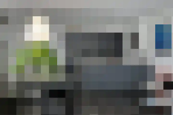 P C Boutenssingel 107 Capelle aan den IJssel thumbnail 14
