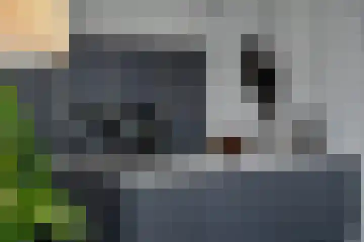 P C Boutenssingel 107 Capelle aan den IJssel thumbnail 15
