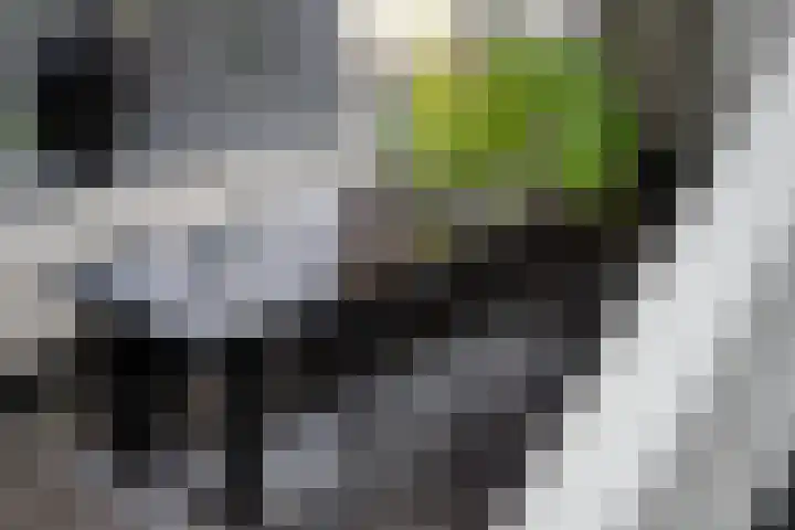 P C Boutenssingel 107 Capelle aan den IJssel thumbnail 21