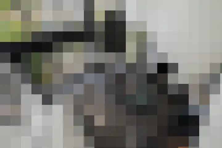 P C Boutenssingel 107 Capelle aan den IJssel thumbnail 22