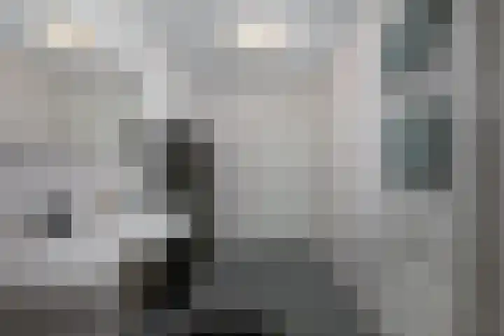 P C Boutenssingel 107 Capelle aan den IJssel thumbnail 26