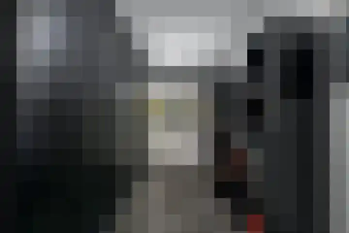 P C Boutenssingel 107 Capelle aan den IJssel thumbnail 27