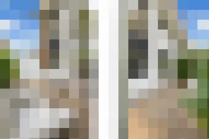 P C Boutenssingel 107 Capelle aan den IJssel thumbnail 9