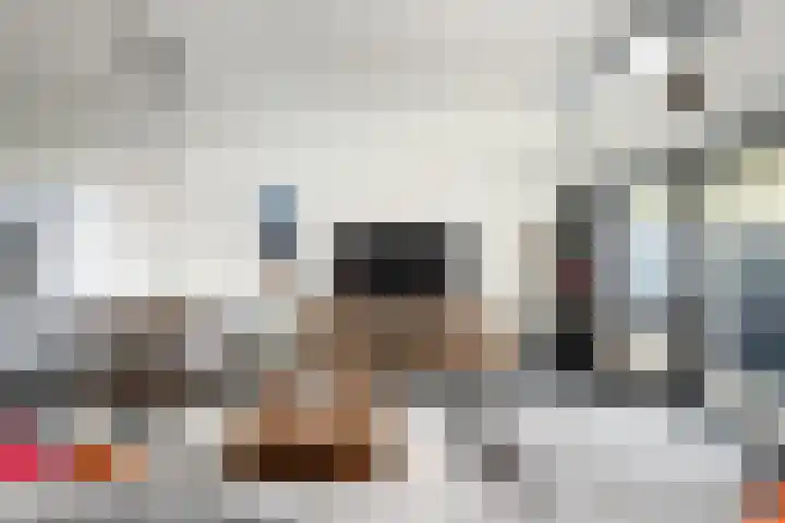 P C Boutenssingel 113 Capelle aan den IJssel thumbnail 11