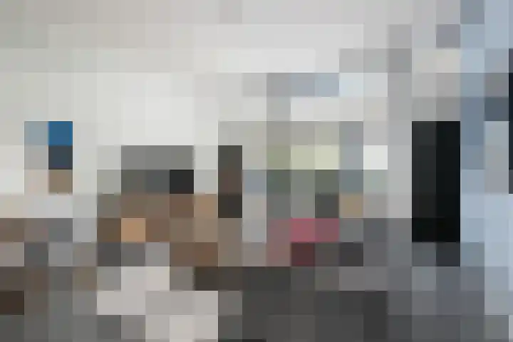 P C Boutenssingel 113 Capelle aan den IJssel thumbnail 12