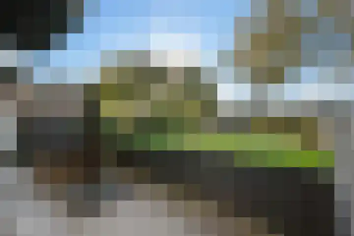P C Boutenssingel 113 Capelle aan den IJssel thumbnail 13
