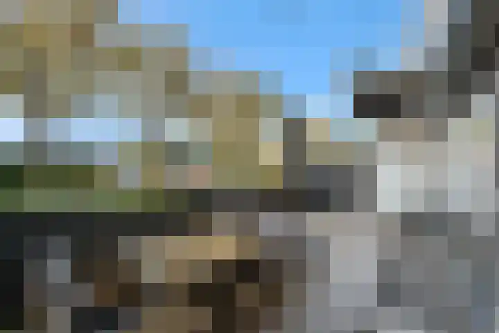 P C Boutenssingel 113 Capelle aan den IJssel thumbnail 14