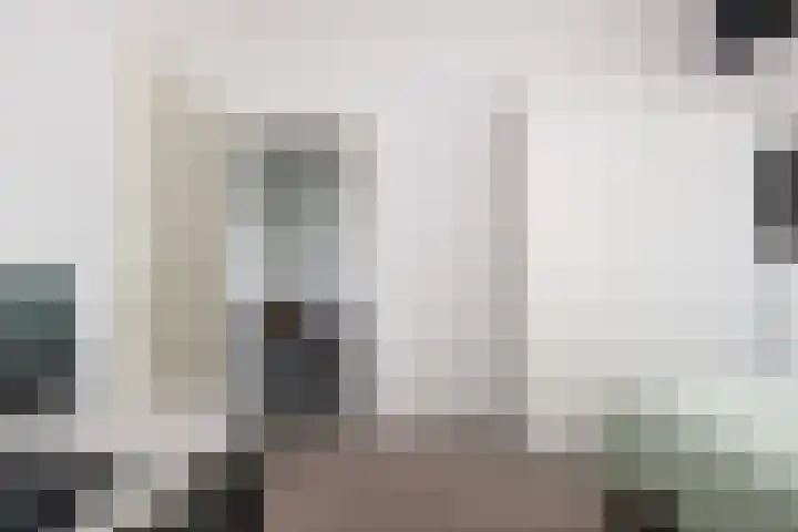 P C Boutenssingel 113 Capelle aan den IJssel thumbnail 15