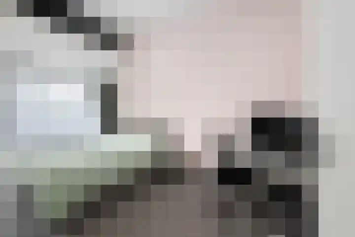 P C Boutenssingel 113 Capelle aan den IJssel thumbnail 16