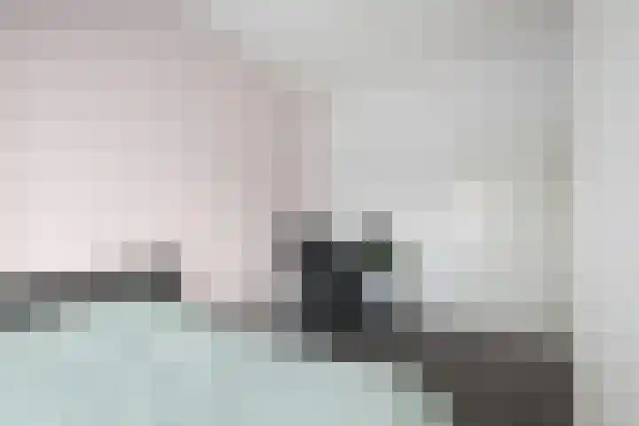 P C Boutenssingel 113 Capelle aan den IJssel thumbnail 17