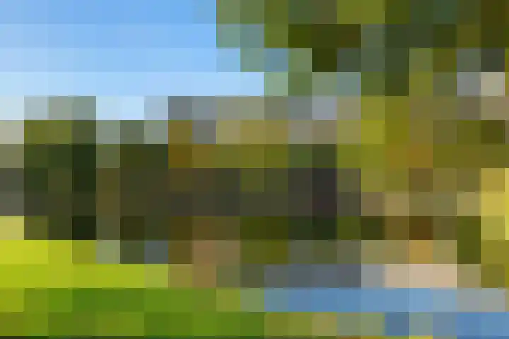 P C Boutenssingel 113 Capelle aan den IJssel thumbnail 4