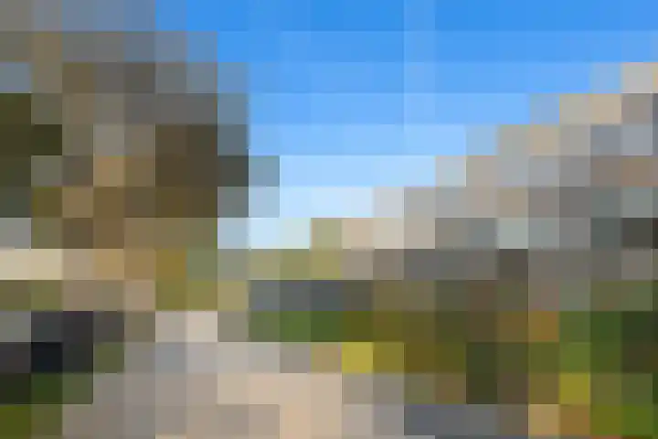 P C Boutenssingel 113 Capelle aan den IJssel thumbnail 7