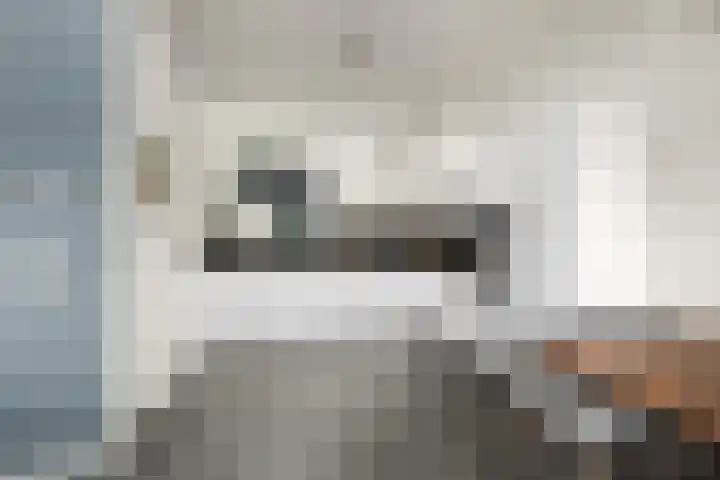 P C Boutenssingel 113 Capelle aan den IJssel thumbnail 9