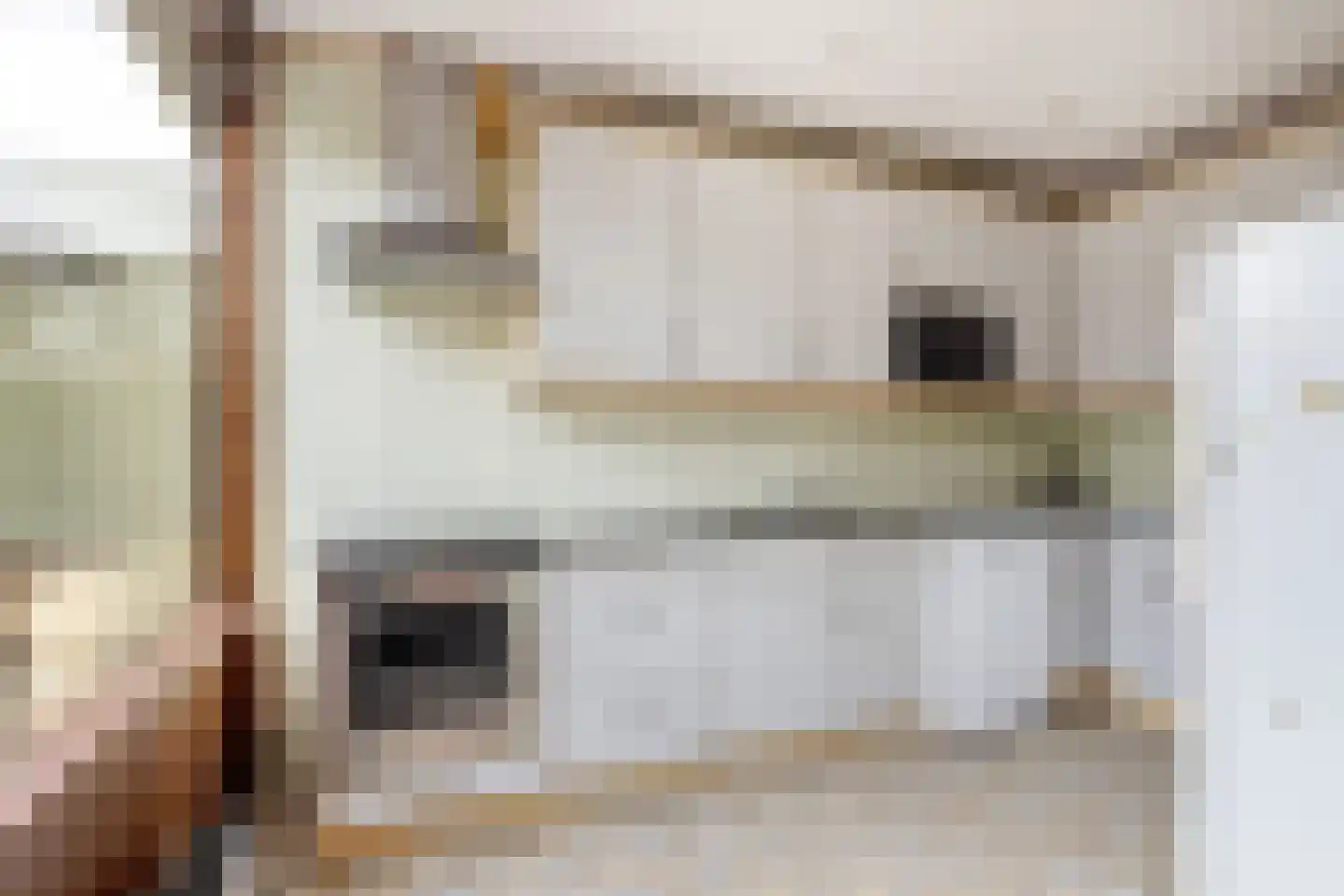 P C Boutenssingel 28 Capelle aan den IJssel thumbnail 10