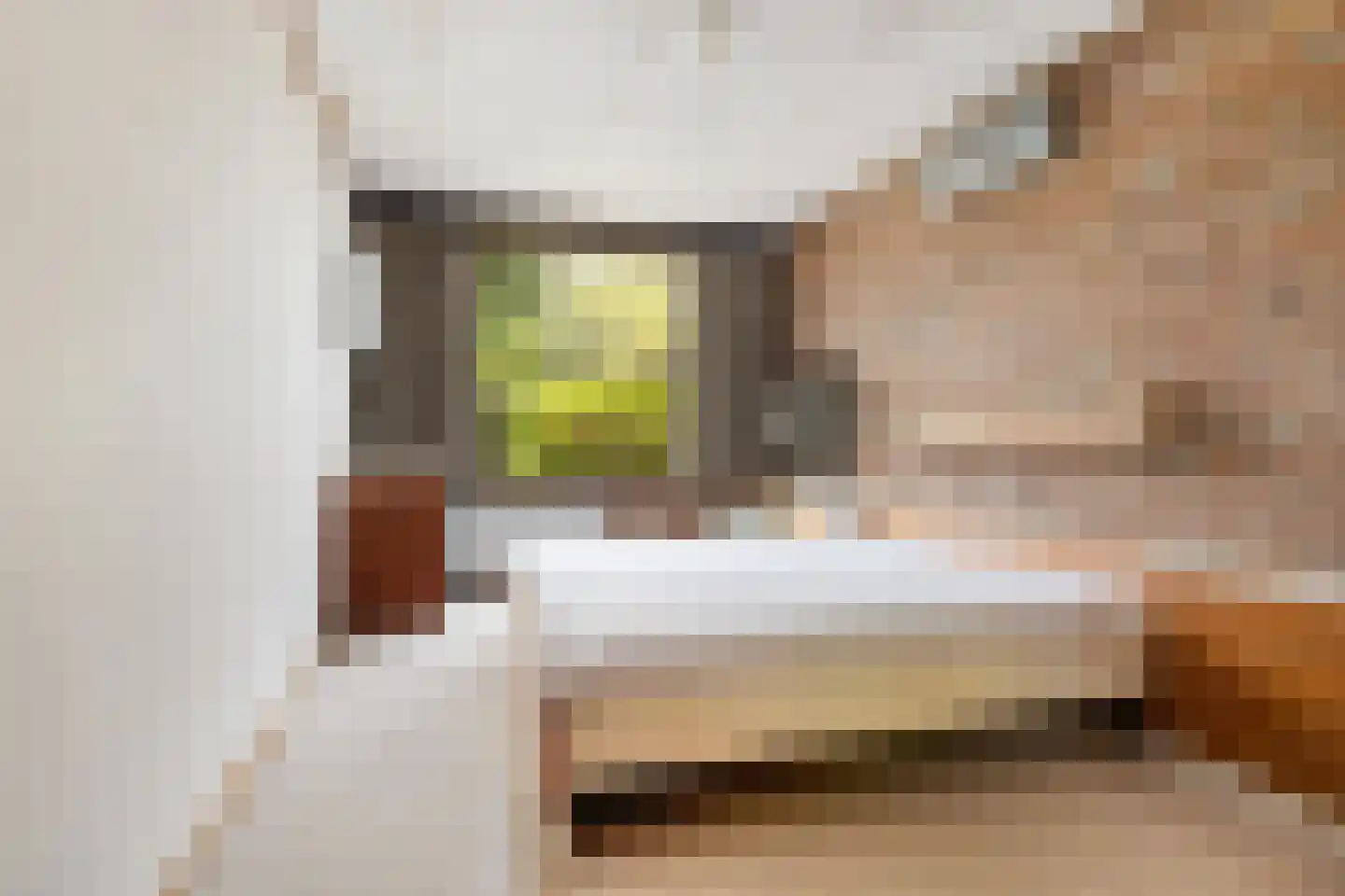 P C Boutenssingel 28 Capelle aan den IJssel thumbnail 21
