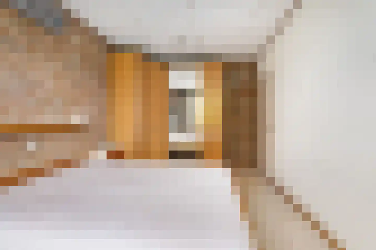 P C Boutenssingel 28 Capelle aan den IJssel thumbnail 22