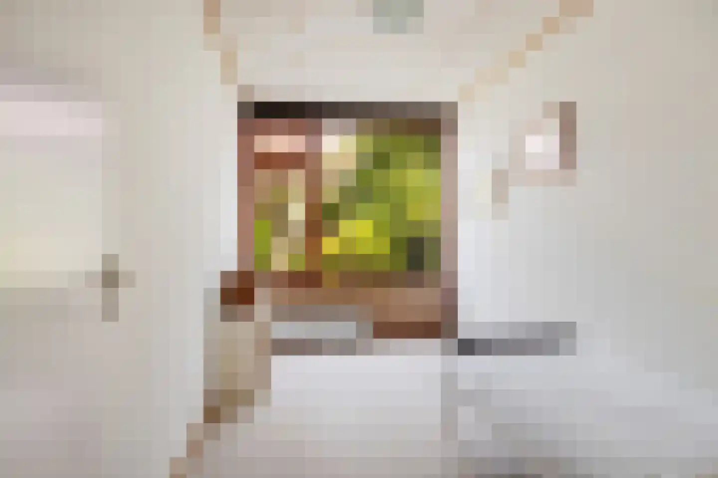 P C Boutenssingel 28 Capelle aan den IJssel thumbnail 23