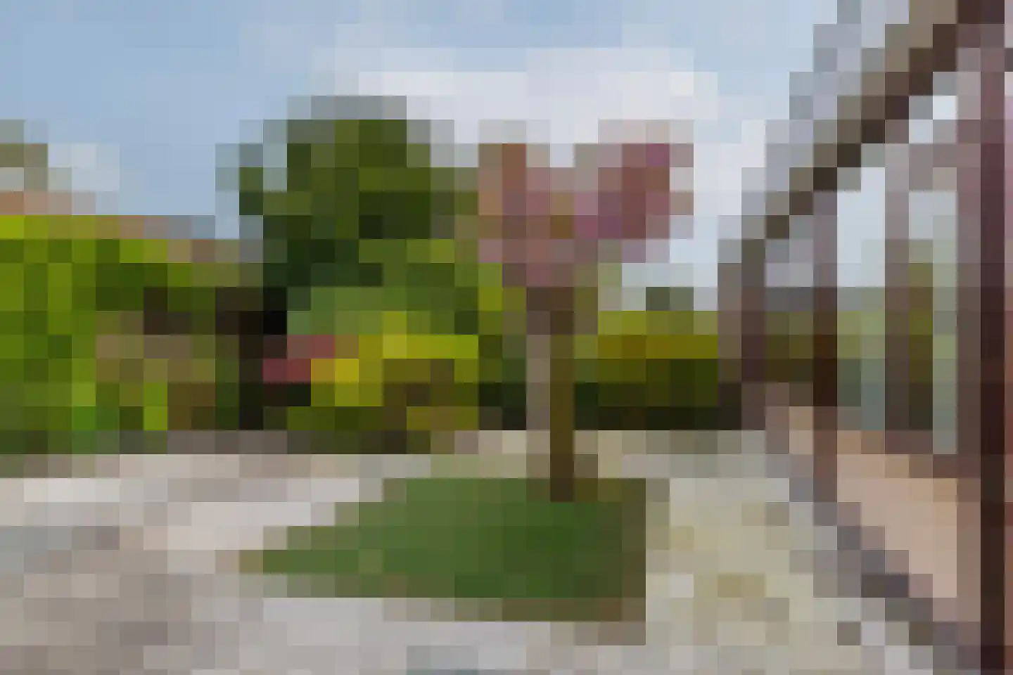 P C Boutenssingel 28 Capelle aan den IJssel thumbnail 35