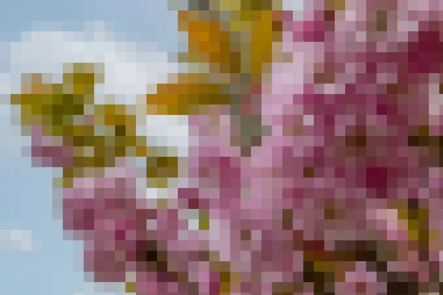 P C Boutenssingel 28 Capelle aan den IJssel thumbnail 38