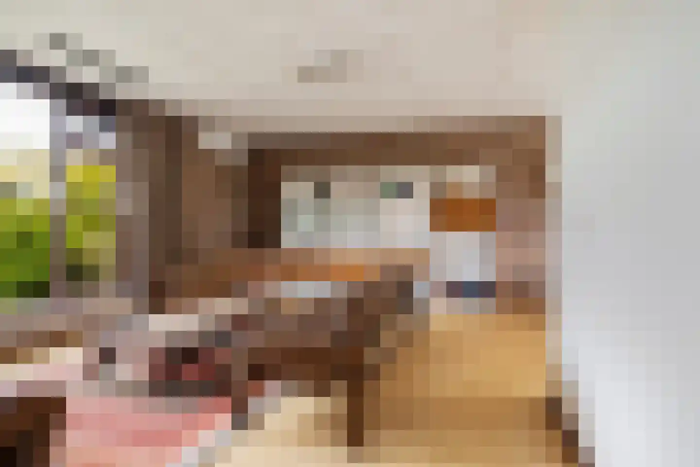 P C Boutenssingel 28 Capelle aan den IJssel thumbnail 4