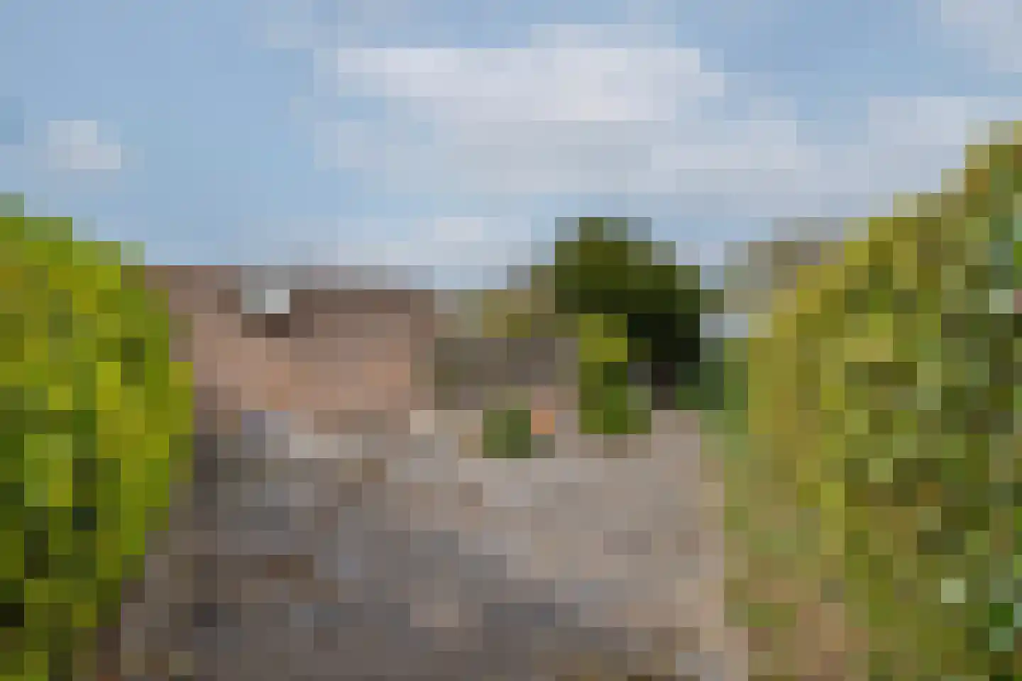 P C Boutenssingel 28 Capelle aan den IJssel thumbnail 41