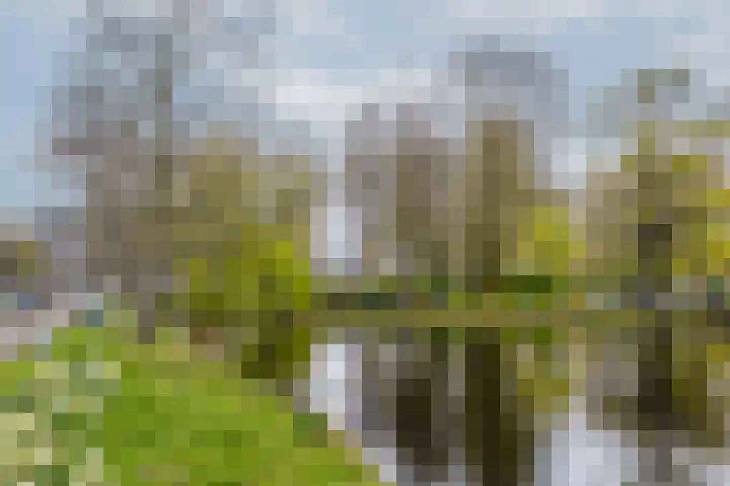 P C Boutenssingel 28 Capelle aan den IJssel thumbnail 48