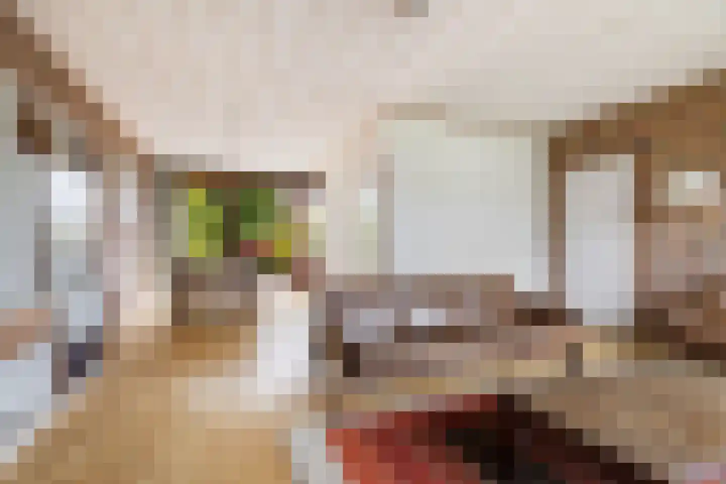 P C Boutenssingel 28 Capelle aan den IJssel thumbnail 7
