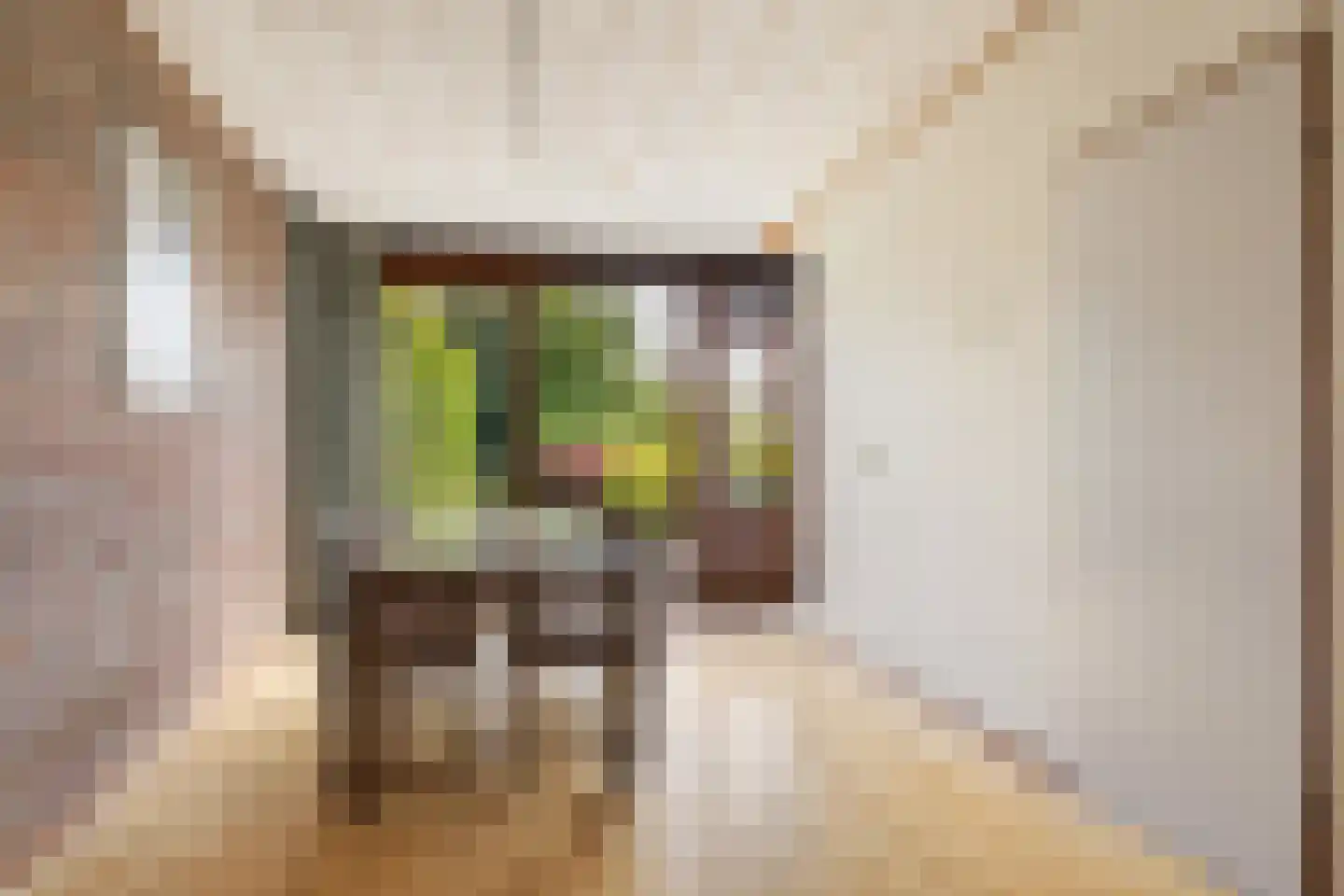 P C Boutenssingel 28 Capelle aan den IJssel thumbnail 8