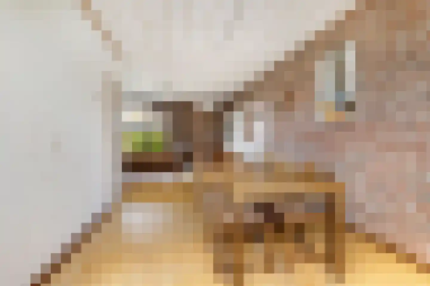 P C Boutenssingel 28 Capelle aan den IJssel thumbnail 9