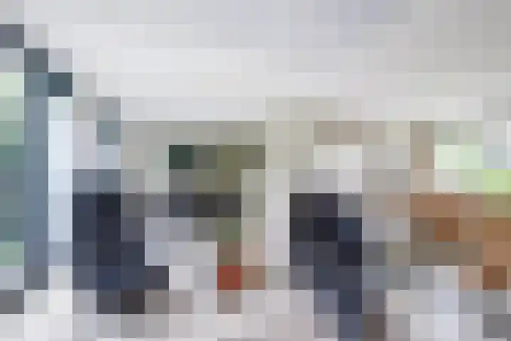 P C Boutenssingel 32 Capelle aan den IJssel thumbnail 11