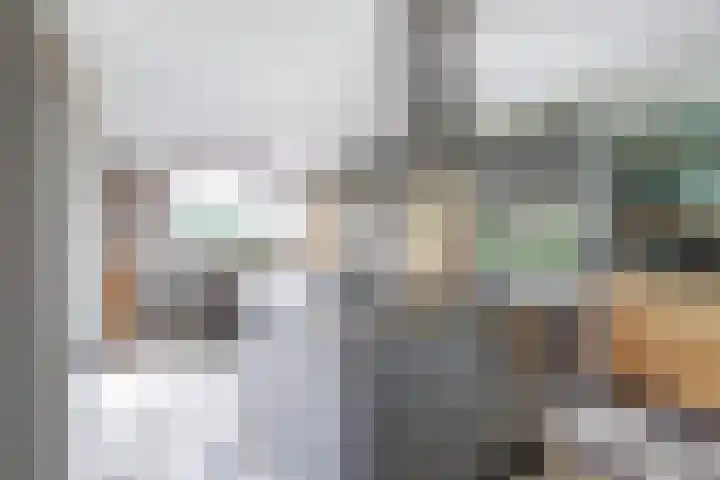 P C Boutenssingel 32 Capelle aan den IJssel thumbnail 16