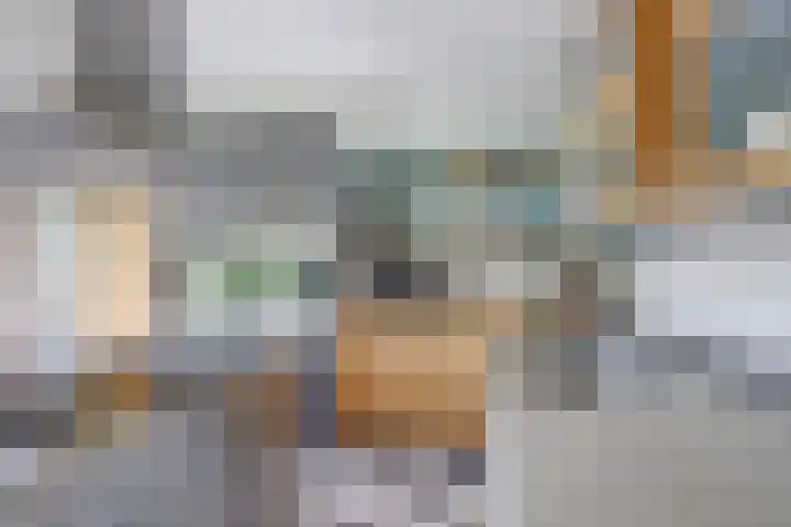 P C Boutenssingel 32 Capelle aan den IJssel thumbnail 17