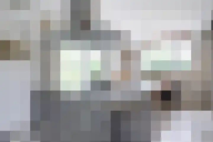 P C Boutenssingel 32 Capelle aan den IJssel thumbnail 18