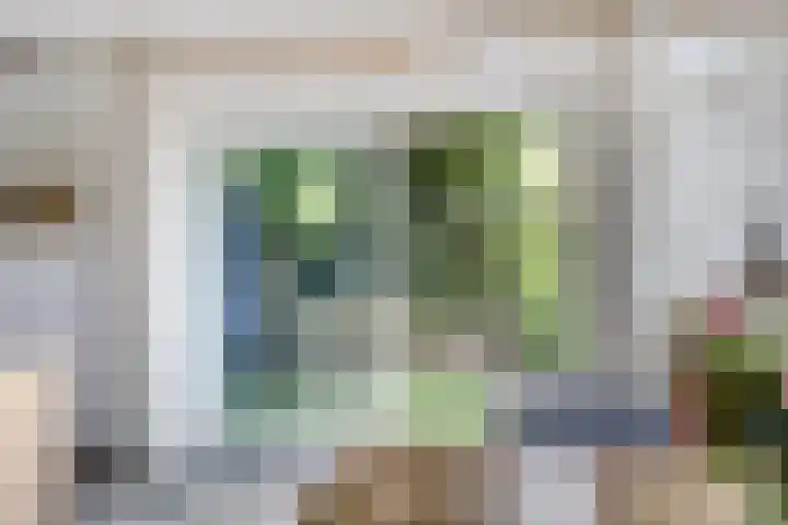 P C Boutenssingel 32 Capelle aan den IJssel thumbnail 19