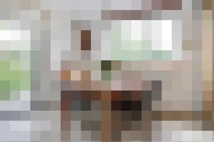 P C Boutenssingel 32 Capelle aan den IJssel thumbnail 20